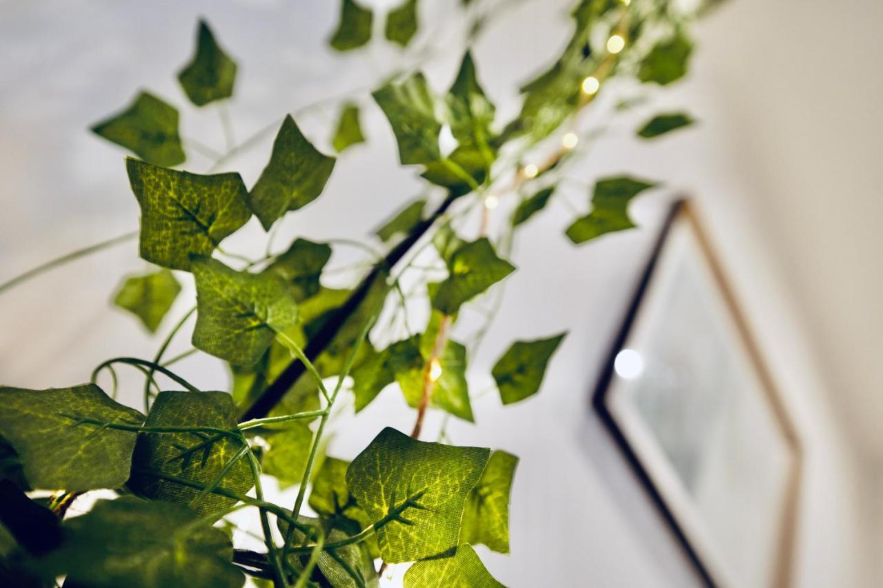 New ! Superbe Studio Vieux Nice - Climatise Buitenkant foto